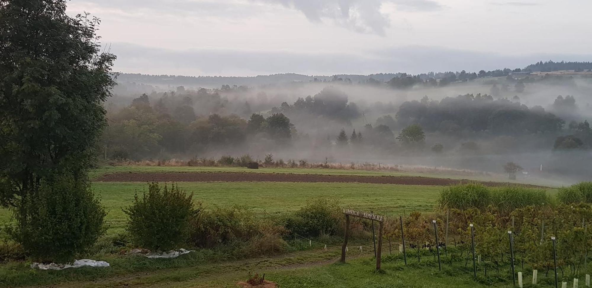 Utopia Dom Przy Winnicy Nowica Eksteriør bilde